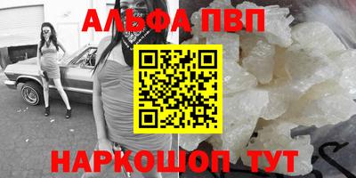 индика Кингисепп
