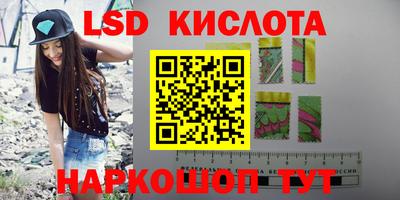 индика Кингисепп