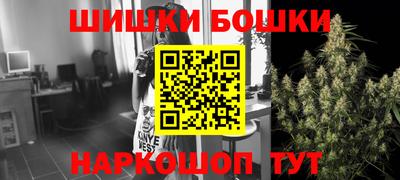 индика Кингисепп