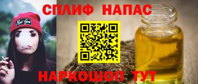 индика Кингисепп
