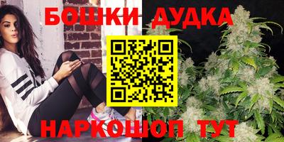 гашик Кимры