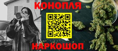 индика Кингисепп