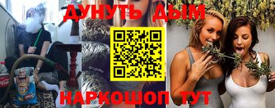 индика Кингисепп
