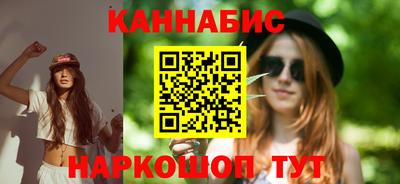 индика Кингисепп