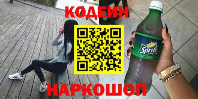 индика Кингисепп