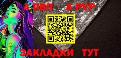 индика Кингисепп