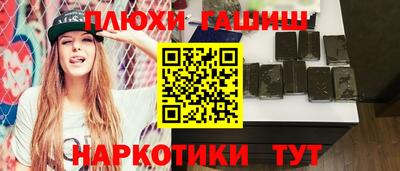 индика Кингисепп