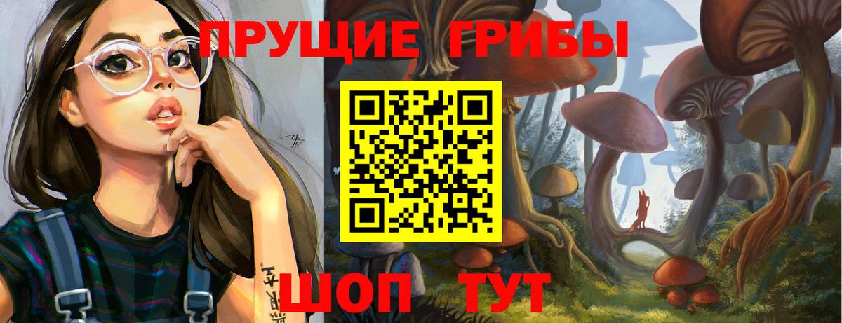 Псилоцибиновые грибы Cubensis Лениногорск