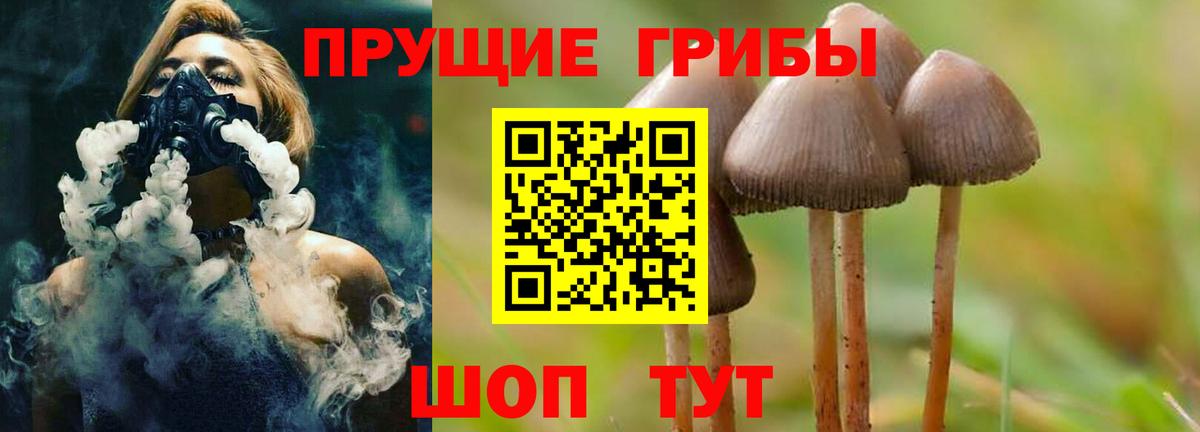 Лениногорск  Галлюциногенные грибы Psilocybine cubensis  Вход с VPN  Псилоцибиновые грибы MAGIC MUSHROOMS 